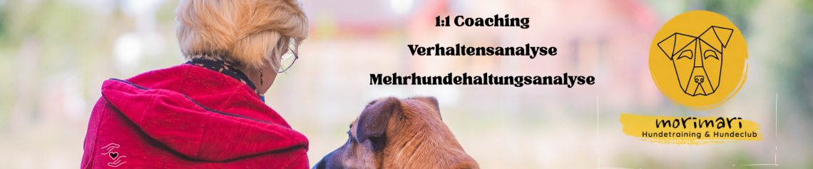Einzelcoaching