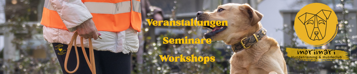 Seminare/ Workshops/ Veranstaltungen