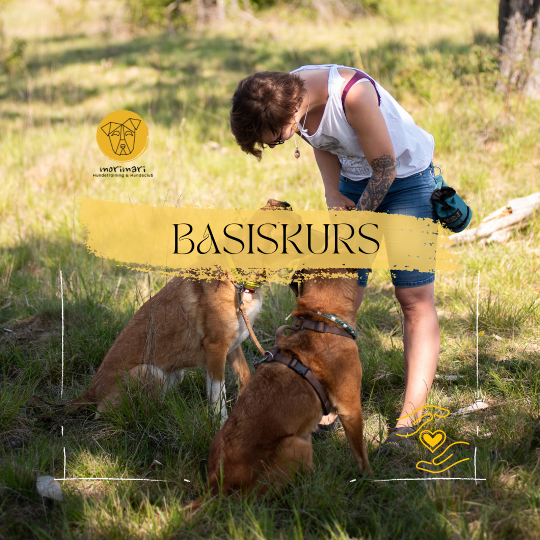 Basiskurs- für alle Neulinge im Hundeleben
