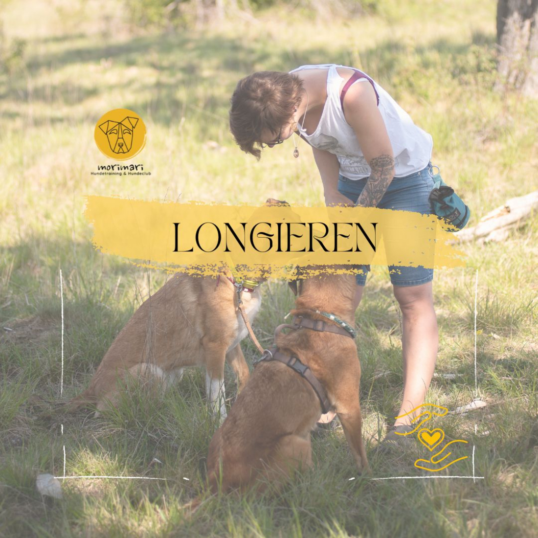 Longieren