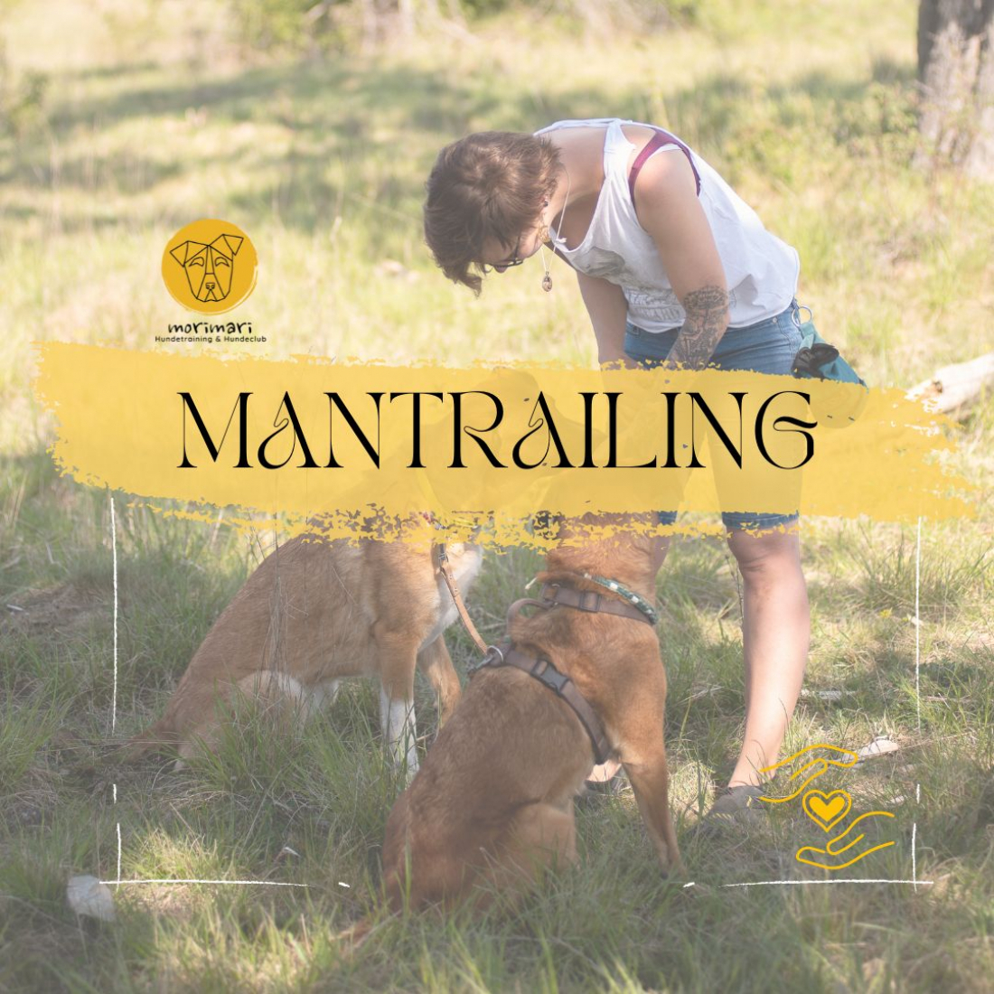 Mantrailing für Jederhund