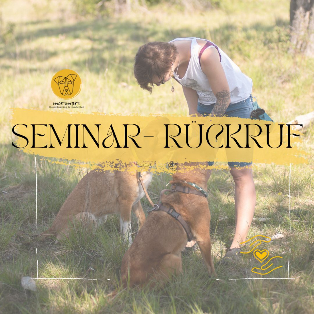 Rückruf