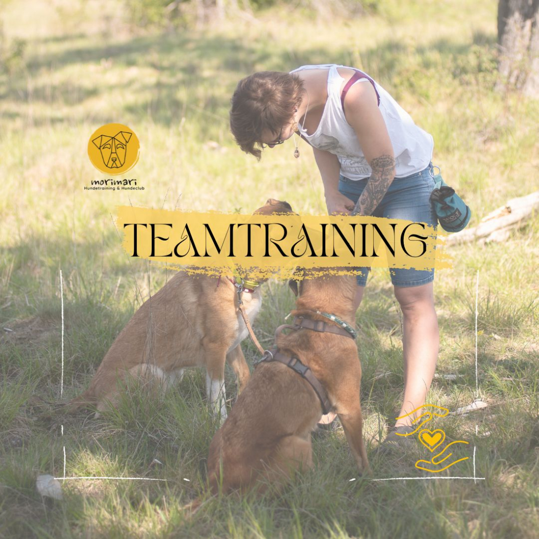 Teamtraining I