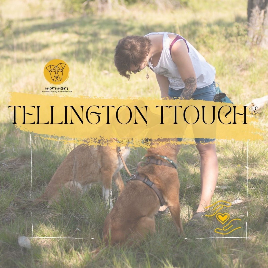Tellington Touch